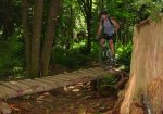 jeff_k-bridge