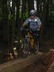 tim-logride